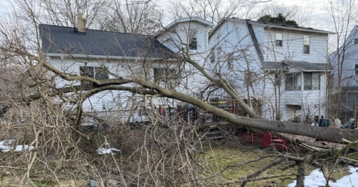 24/7 emergency tree service by Highland Tree Services in Washtenaw County, MI