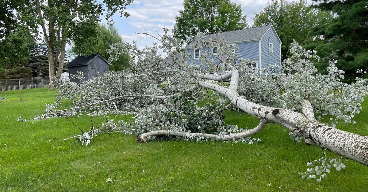 Land Clearing