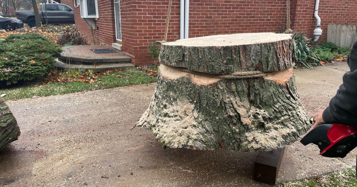 Stump Removal / Grinding | Highland Tree Services in Washtenaw County, MI